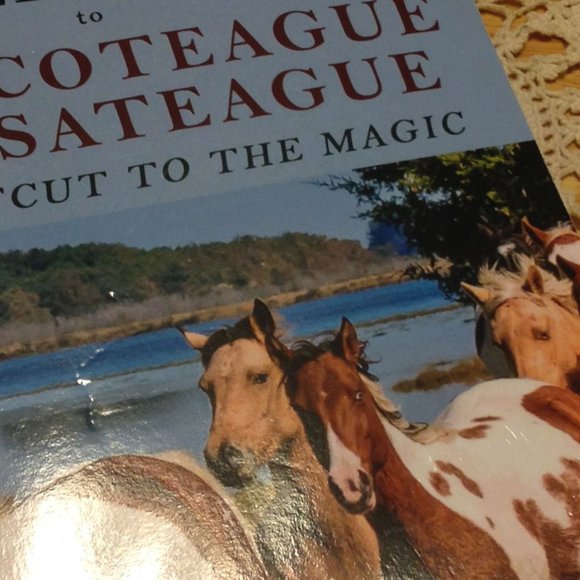 3 for $10 book sale! Travel / Parks & Campgrounds, Chinocoteague & Assateague - Picture 3 of 10